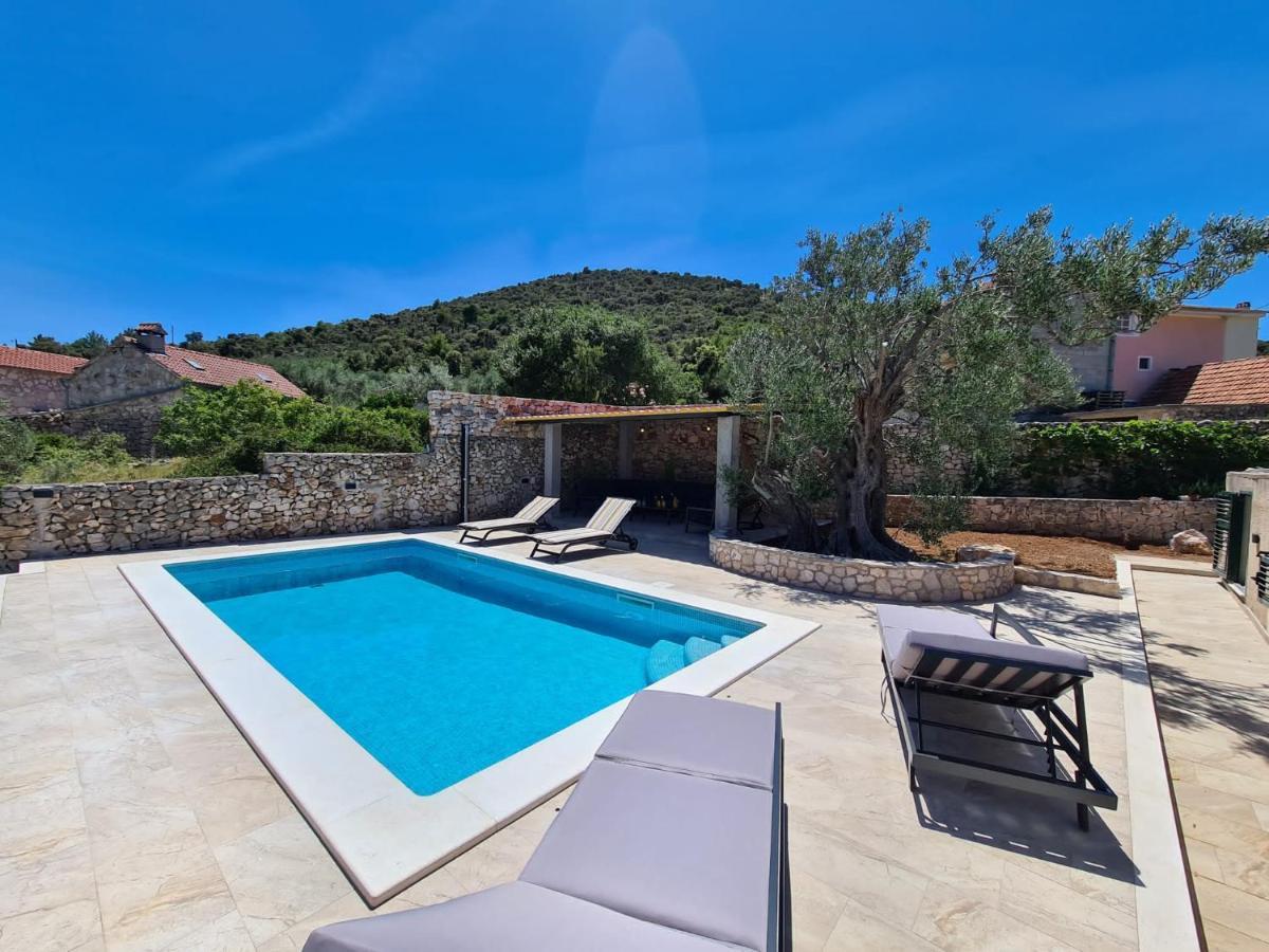 Vila Olive Tree - House With Pool Vinišće Exteriér fotografie