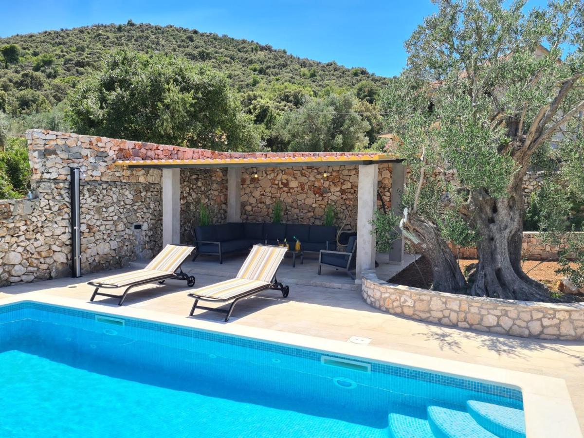 Vila Olive Tree - House With Pool Vinišće Exteriér fotografie