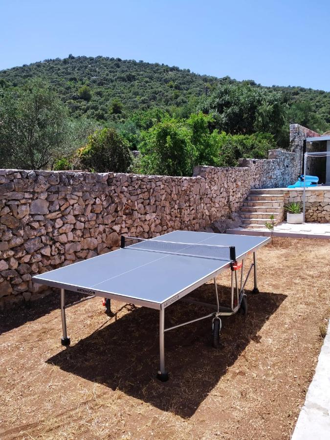 Vila Olive Tree - House With Pool Vinišće Exteriér fotografie